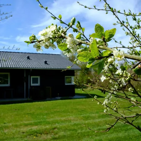 Tatil Evi Stunning In With Sauna, Swimming Pool And Internet *